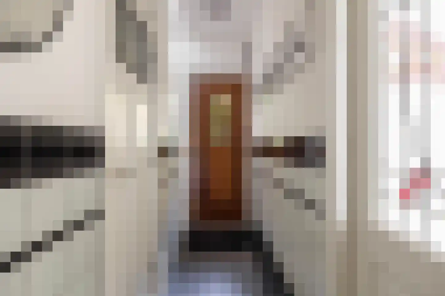 Oude Houtensepad 30 Utrecht thumbnail 8