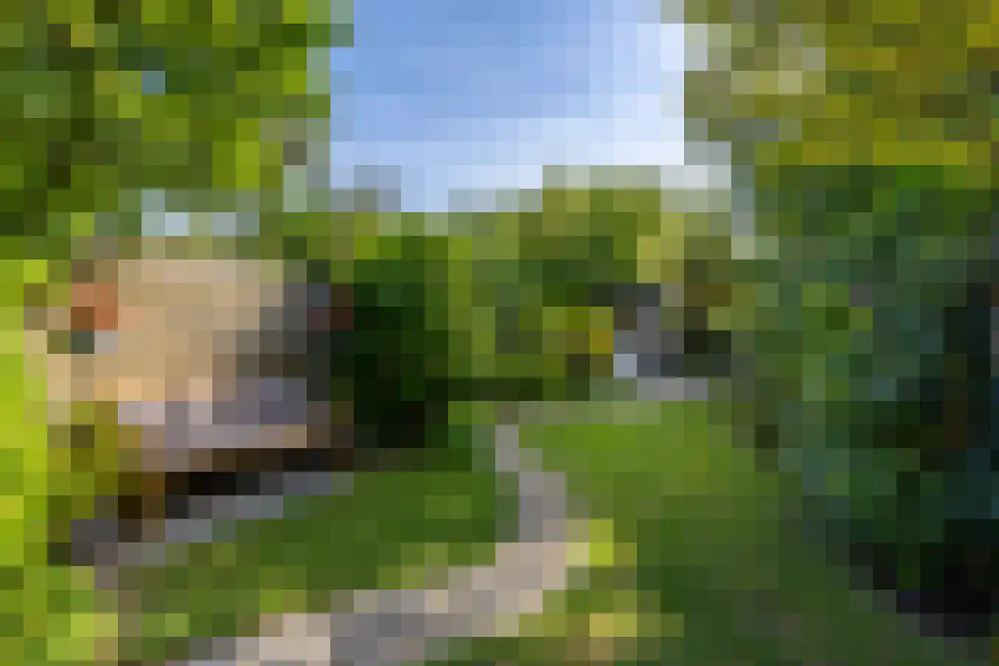 Oude Houtensepad 42 Utrecht thumbnail 19