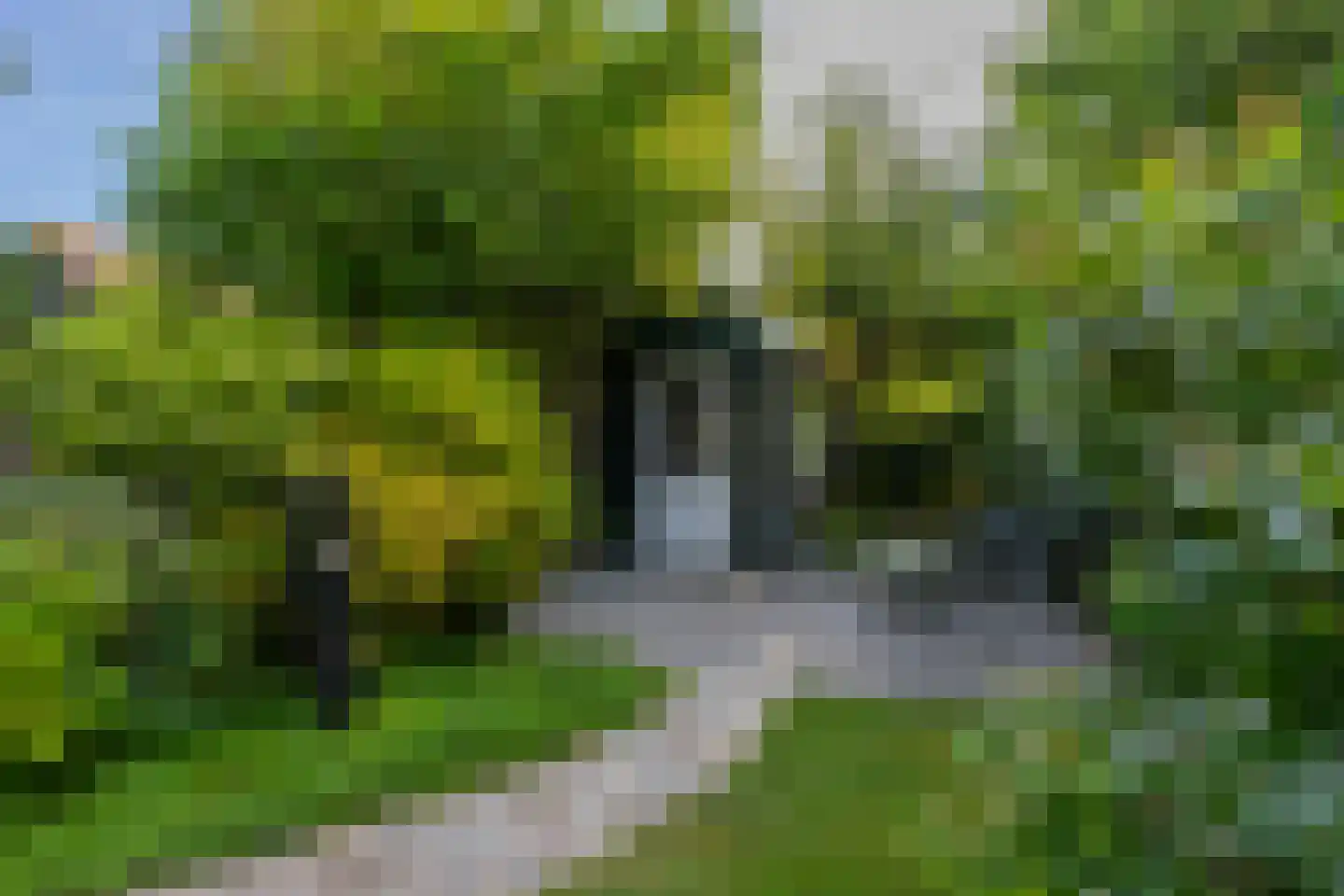 Oude Houtensepad 42 Utrecht thumbnail 21