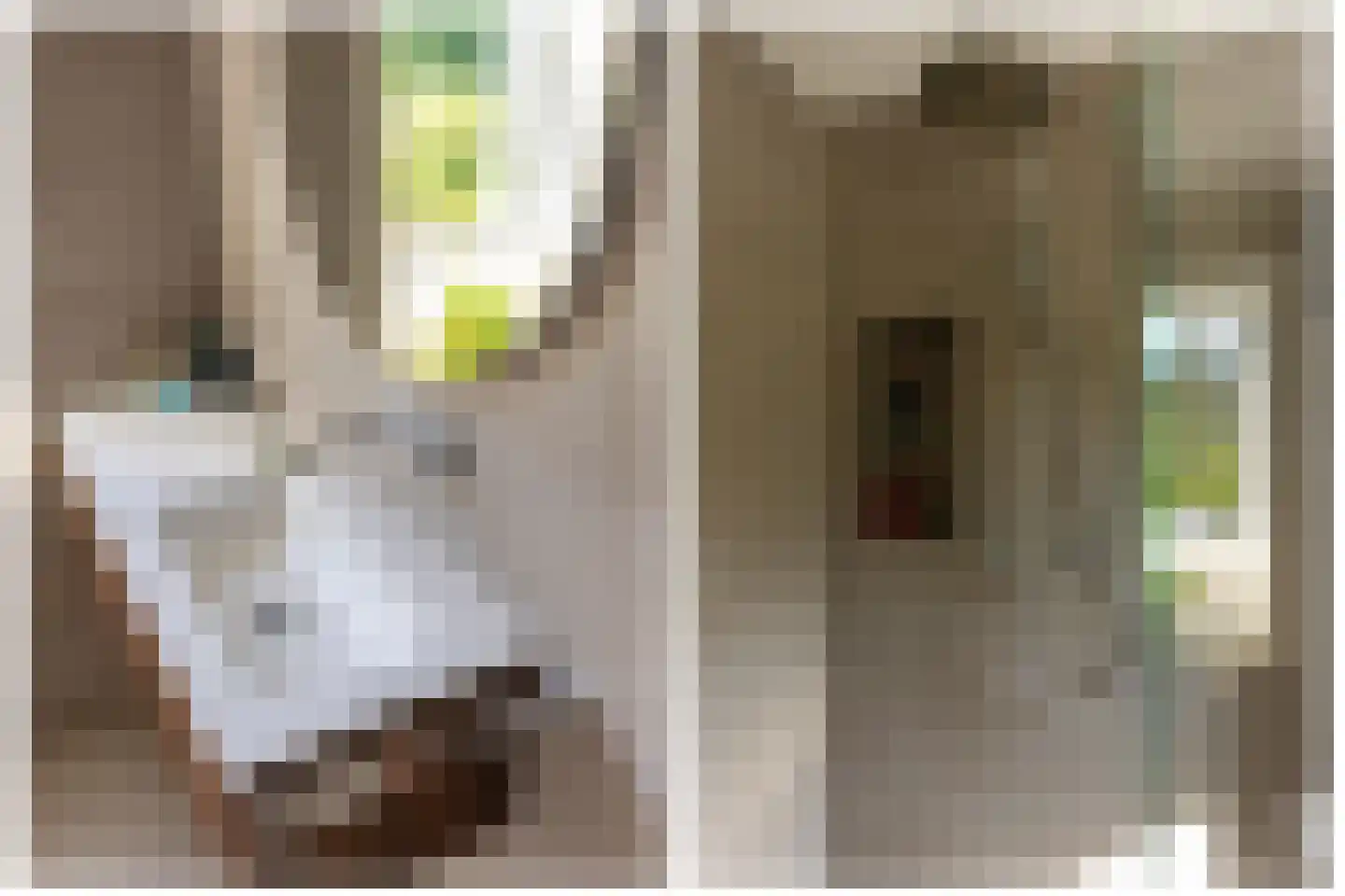Oude Houtensepad 42 Utrecht thumbnail 35