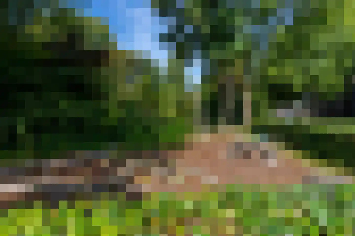 Oude Houtensepad 42 Utrecht thumbnail 43