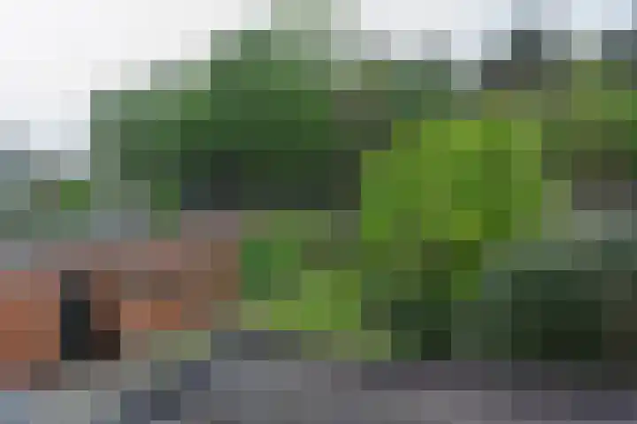 Oude Huijbergsebaan 305 Bergen op Zoom thumbnail 17