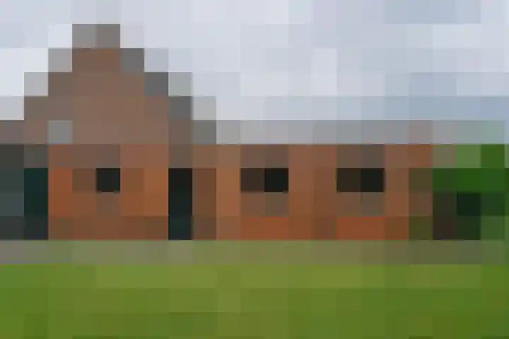 Oude Huijbergsebaan 305 Bergen op Zoom thumbnail 19
