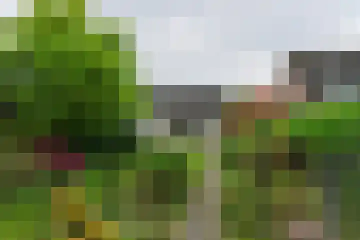 Oude Huijbergsebaan 305 Bergen op Zoom thumbnail 20