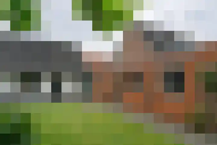 Oude Huijbergsebaan 305 Bergen op Zoom thumbnail 22