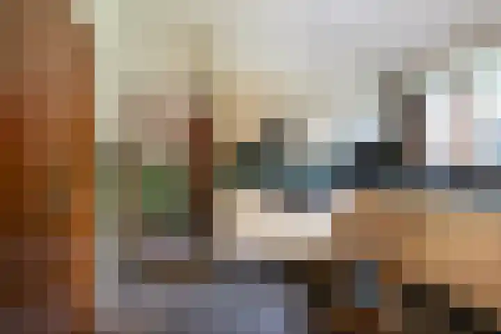 Oude Huijbergsebaan 305 Bergen op Zoom thumbnail 8