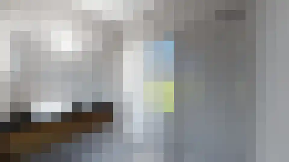 Oude Huijbergsebaan 323 Bergen op Zoom thumbnail 26