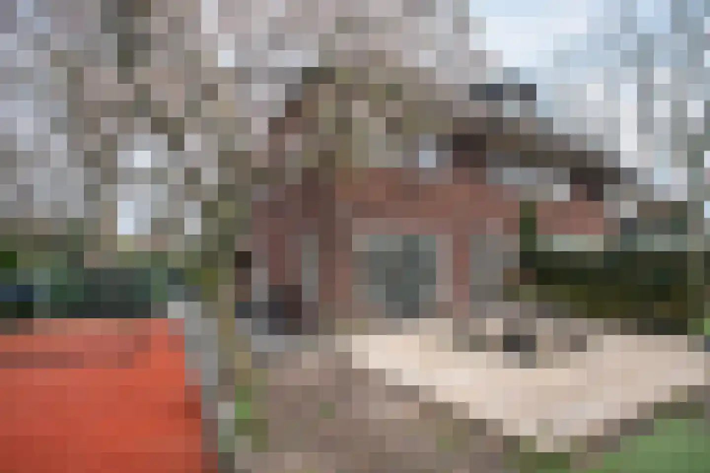 Oude Huizerweg 22 Blaricum thumbnail 5