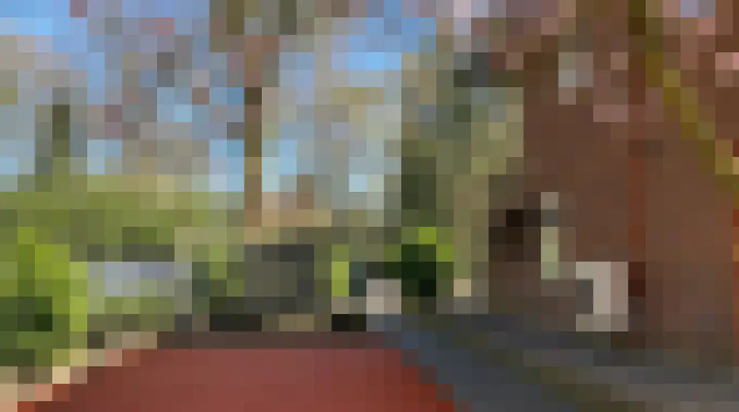Oude Huizerweg 22 Blaricum thumbnail 8