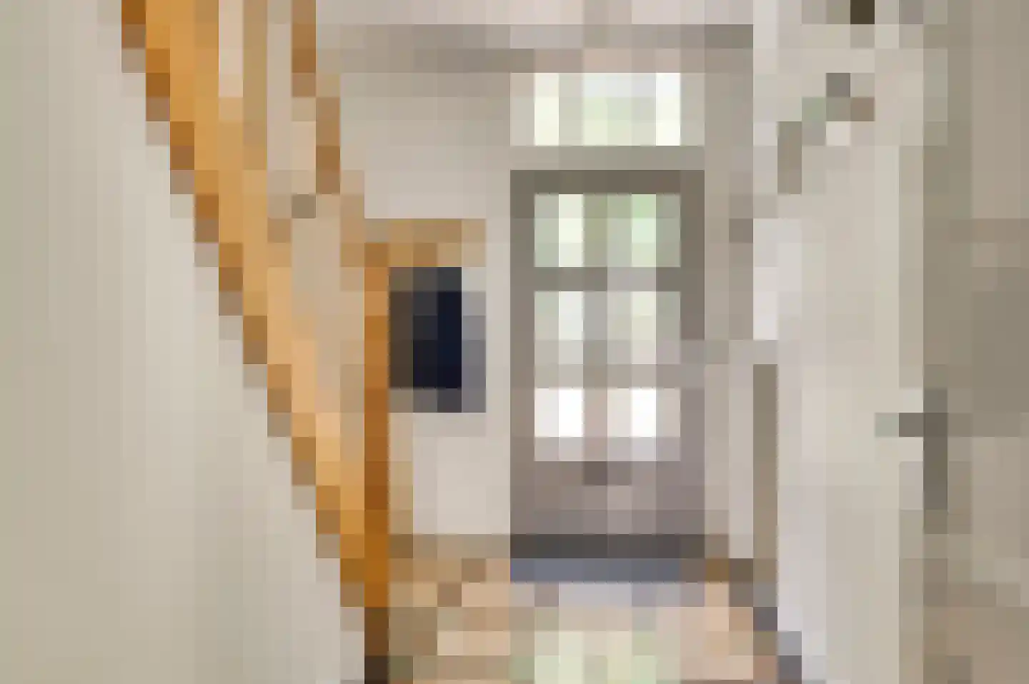 Oude Hushoverweg 60 Weert thumbnail 21