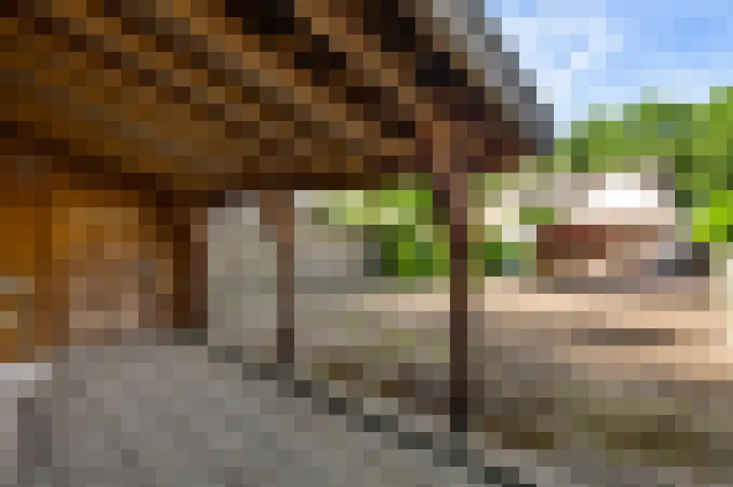 Oude Hushoverweg 60 Weert thumbnail 37