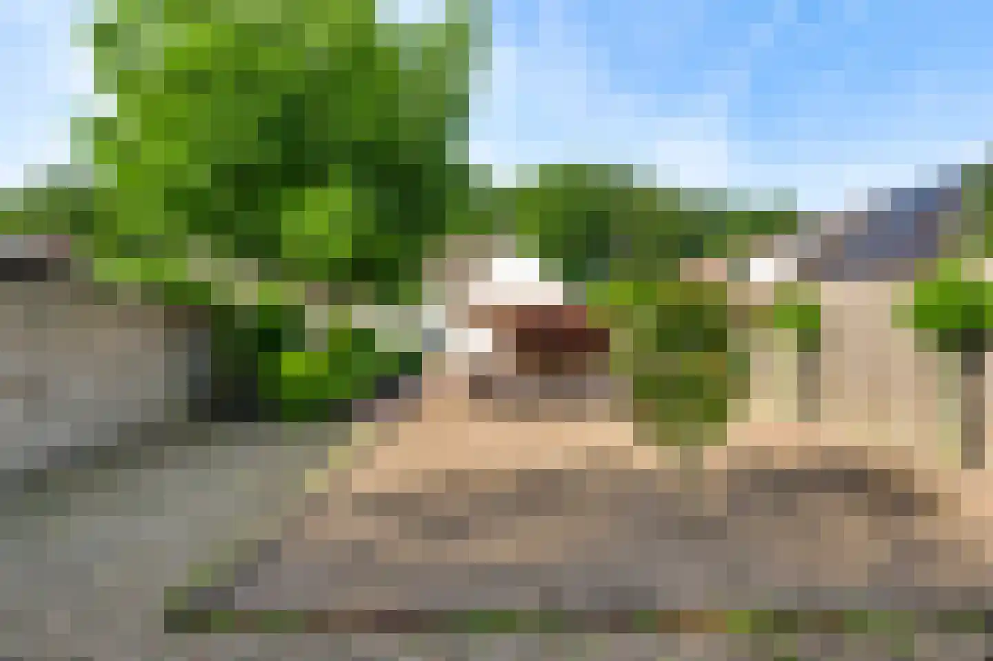 Oude Hushoverweg 60 Weert thumbnail 38