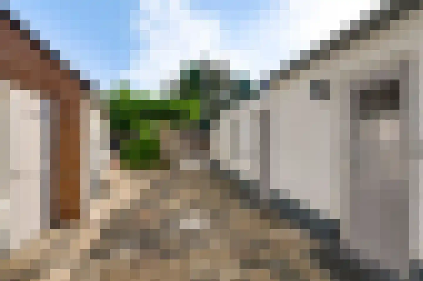 Oude Hushoverweg 60 Weert thumbnail 44