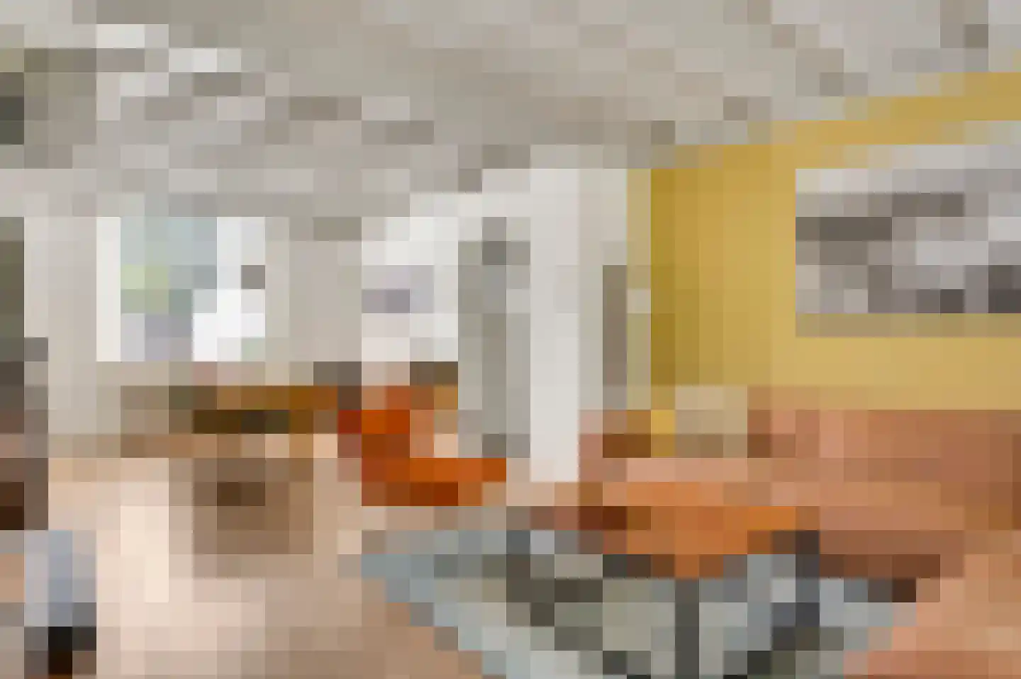 Oude Hushoverweg 60 Weert thumbnail 5