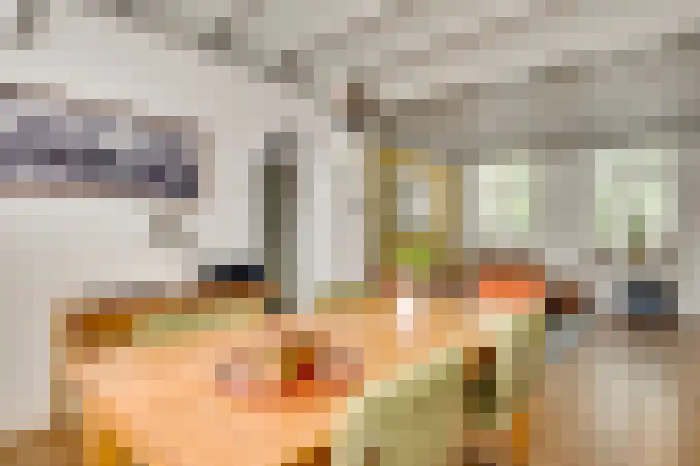 Oude Hushoverweg 60 Weert thumbnail 6