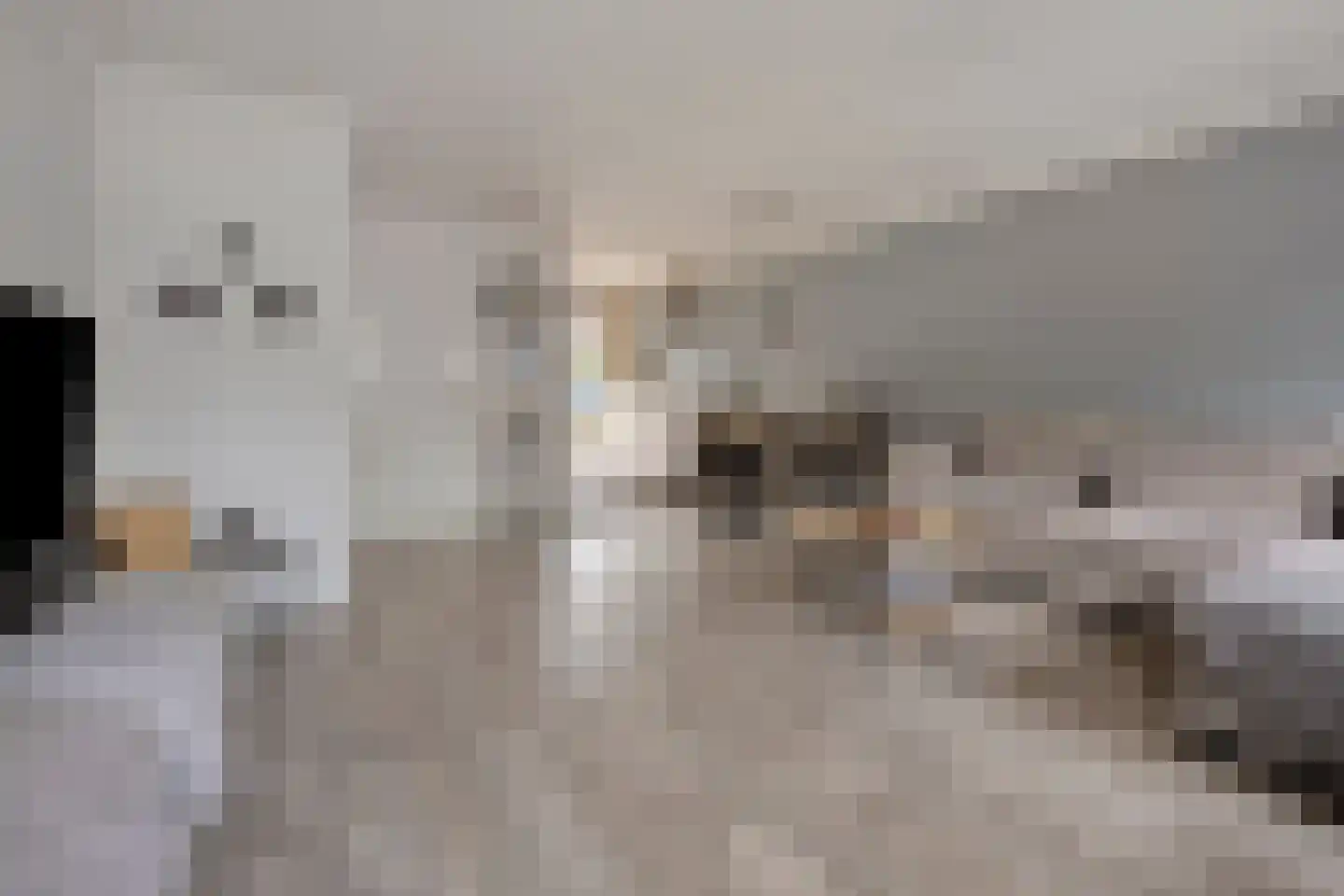 Oude Huys 23 Helmond thumbnail 11
