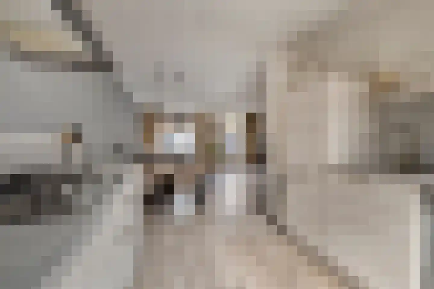 Oude Huys 23 Helmond thumbnail 13