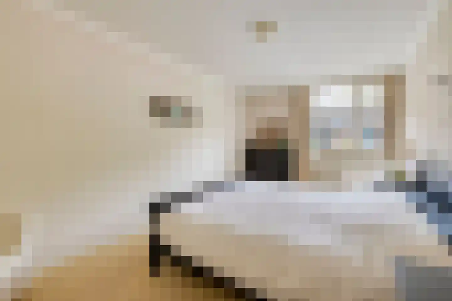Oude Huys 23 Helmond thumbnail 18