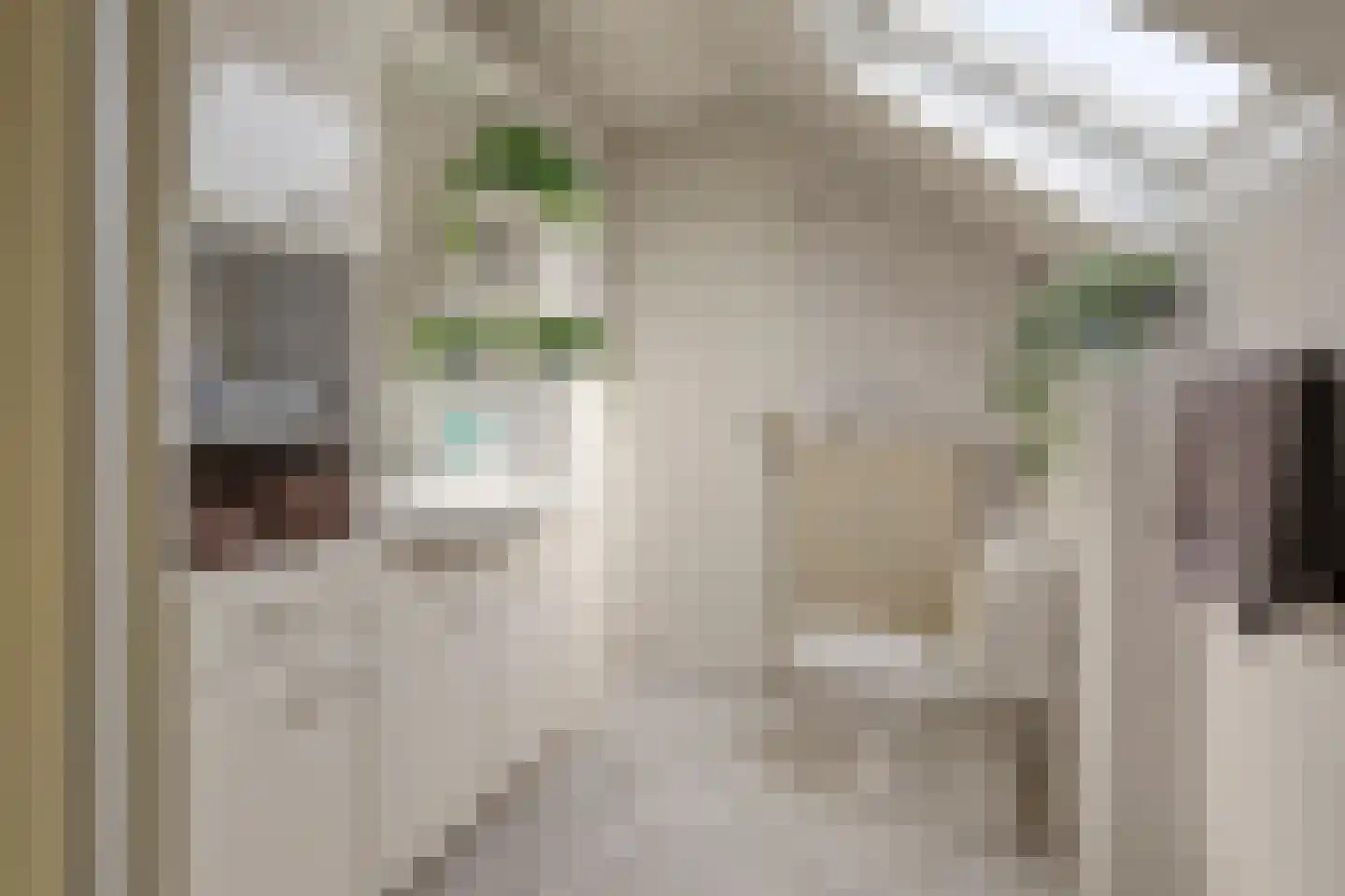 Oude Huys 23 Helmond thumbnail 20