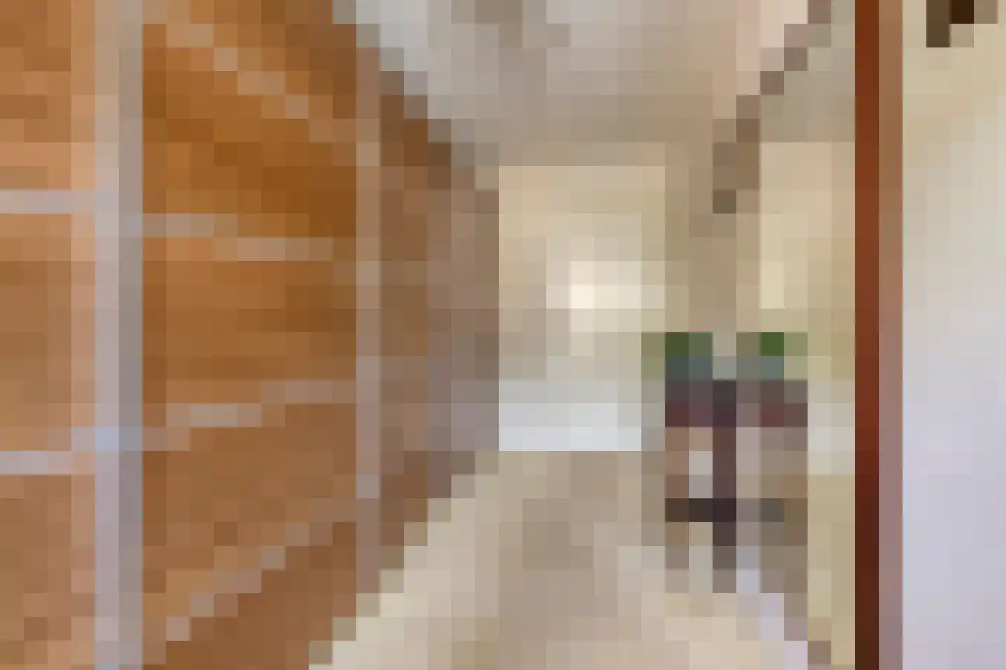 Oude Huys 23 Helmond thumbnail 25