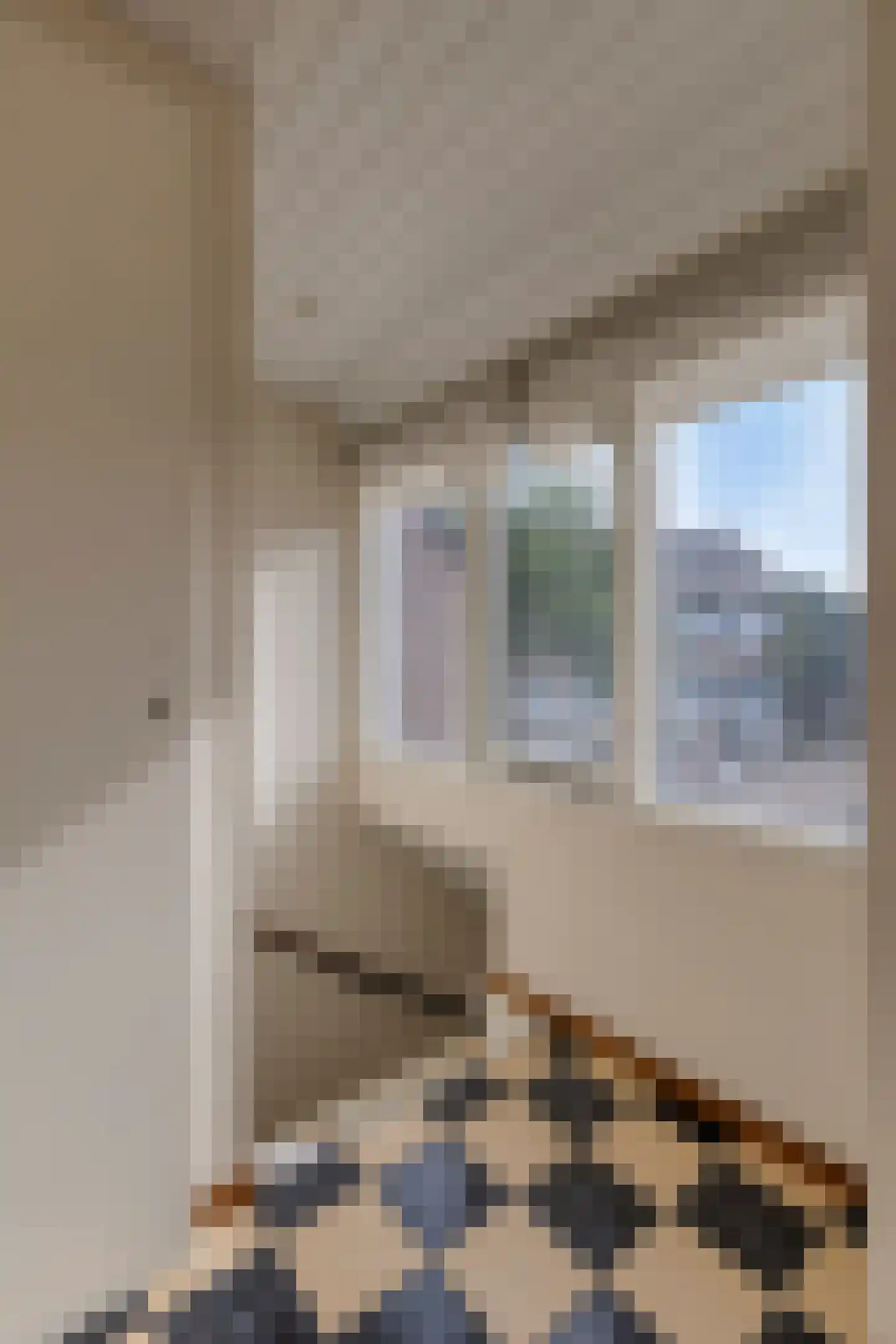 Oude Huys 23 Helmond thumbnail 27