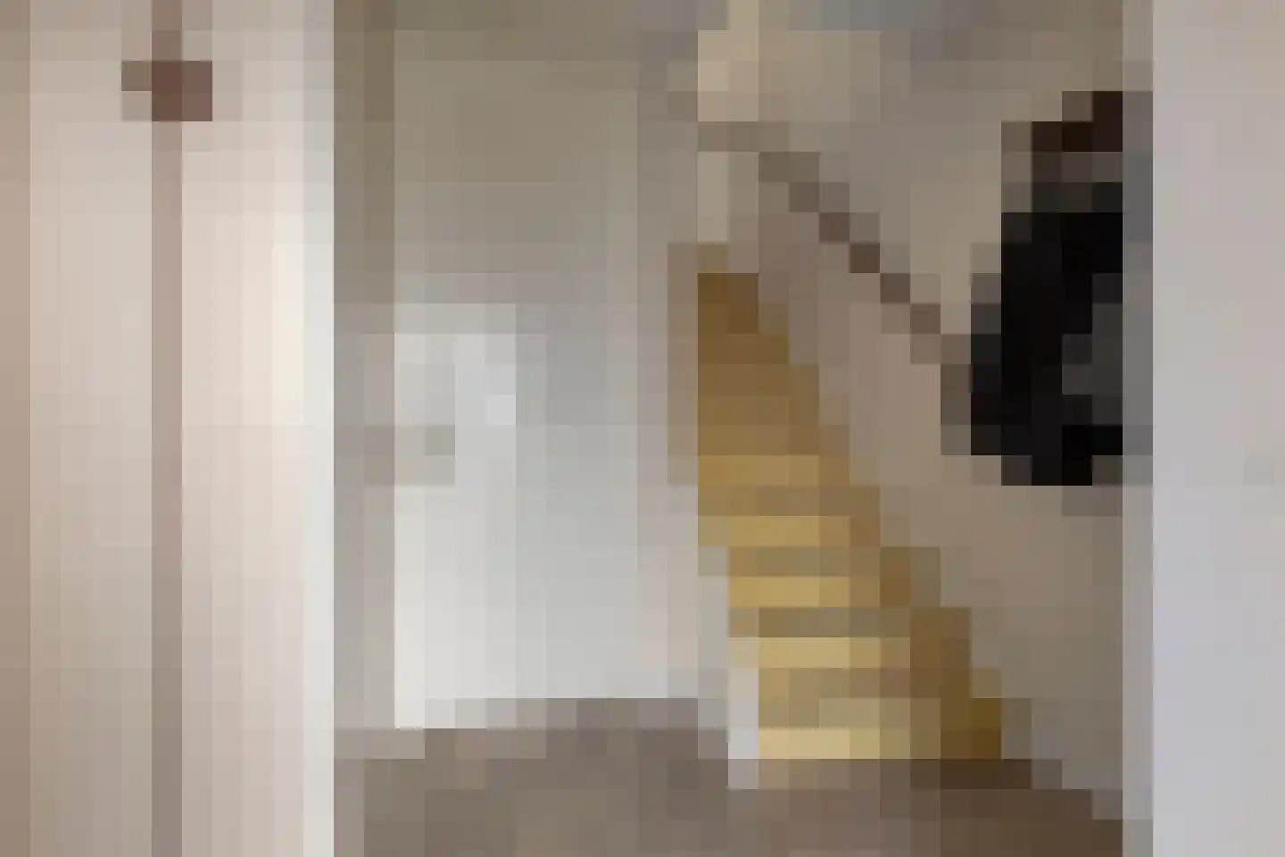 Oude Huys 23 Helmond thumbnail 5