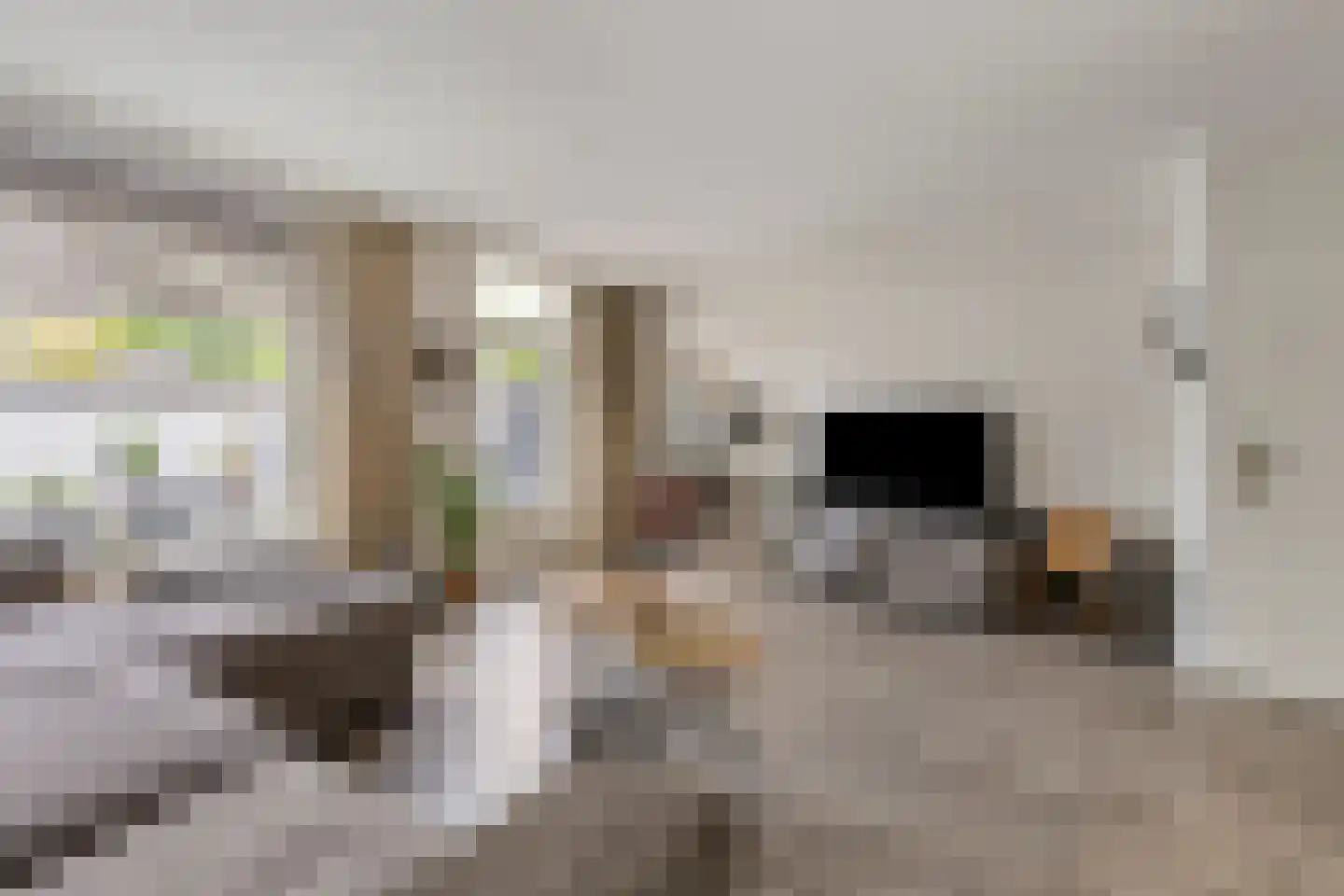 Oude Huys 23 Helmond thumbnail 8