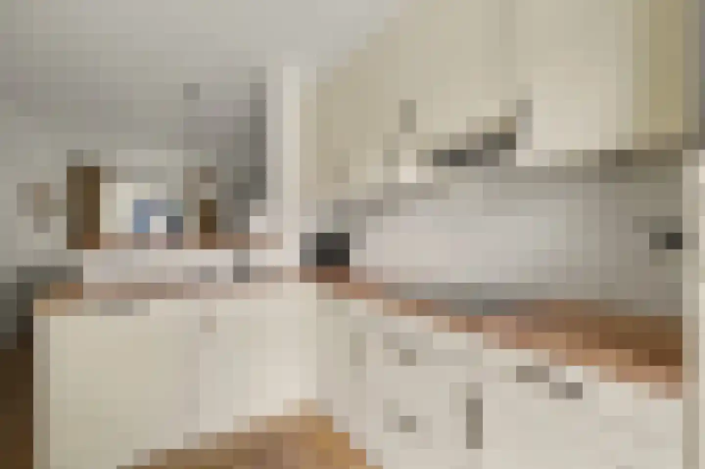 Oude Huys 29 Helmond thumbnail 14