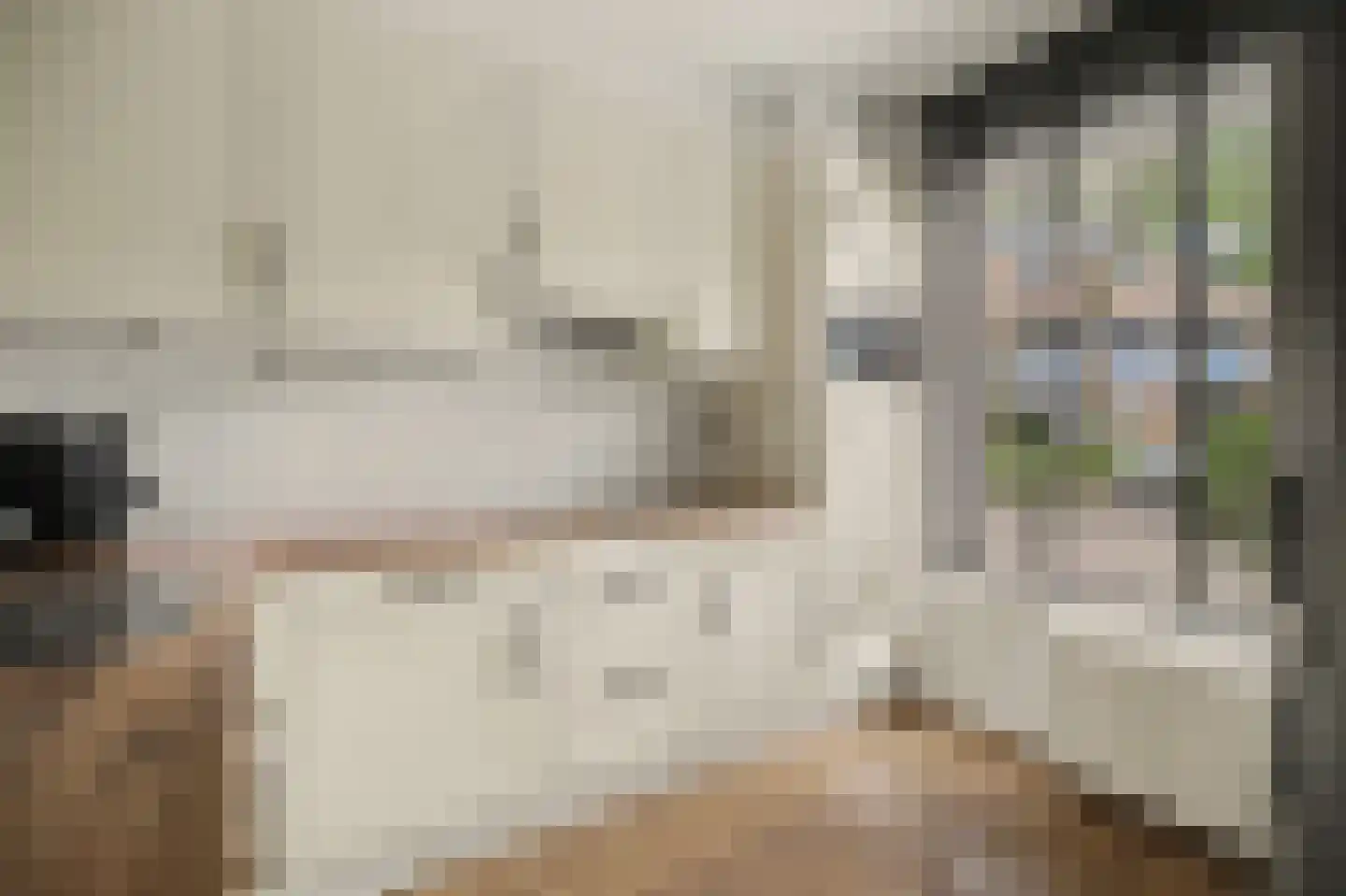 Oude Huys 29 Helmond thumbnail 16