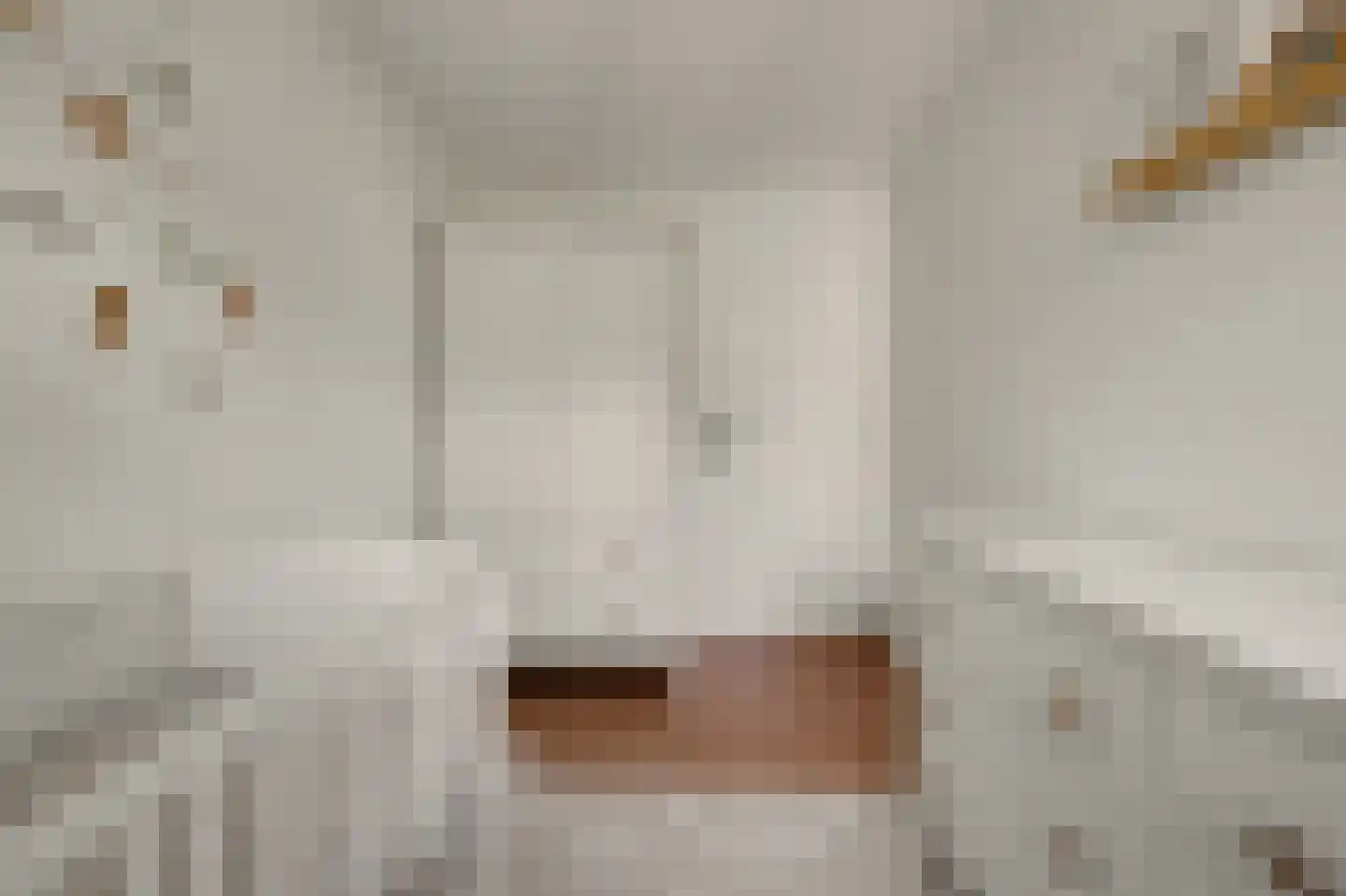 Oude Huys 29 Helmond thumbnail 22