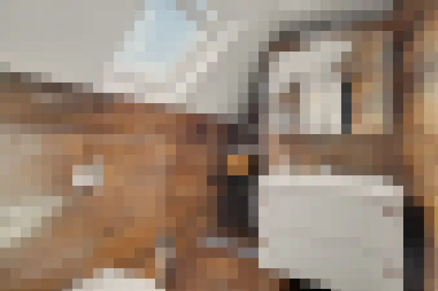 Oude Huys 29 Helmond thumbnail 23