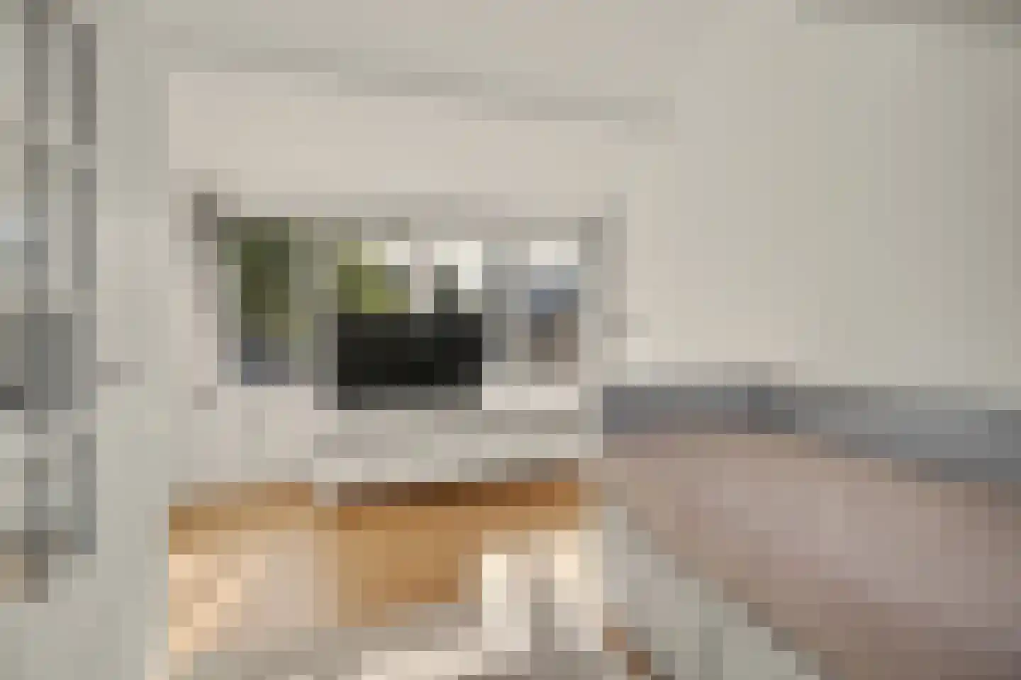 Oude Huys 29 Helmond thumbnail 28