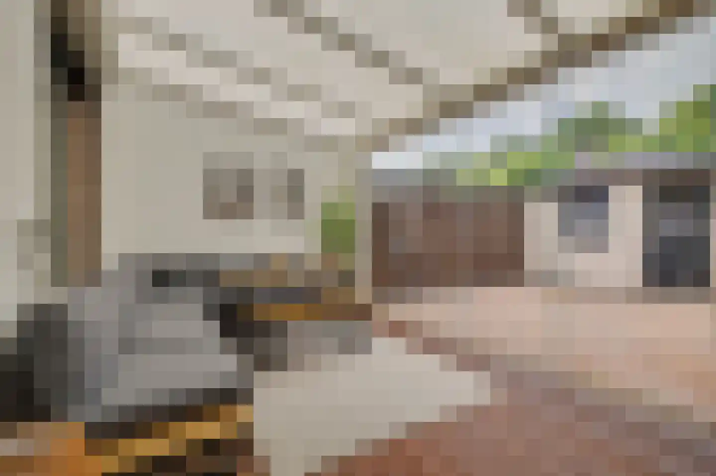 Oude Huys 29 Helmond thumbnail 31