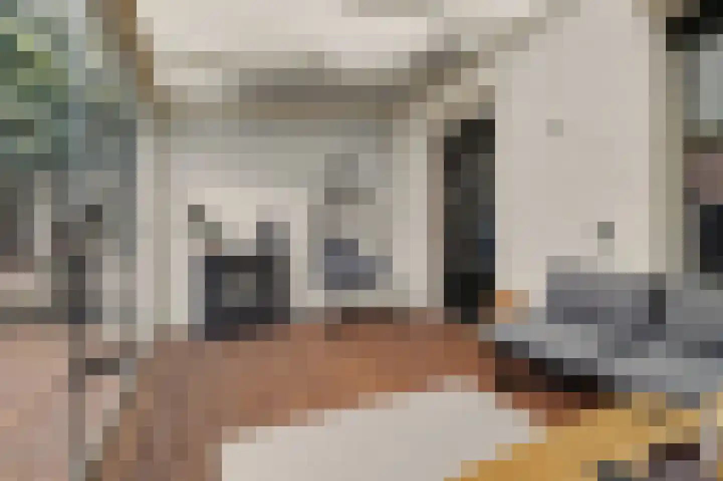 Oude Huys 29 Helmond thumbnail 34