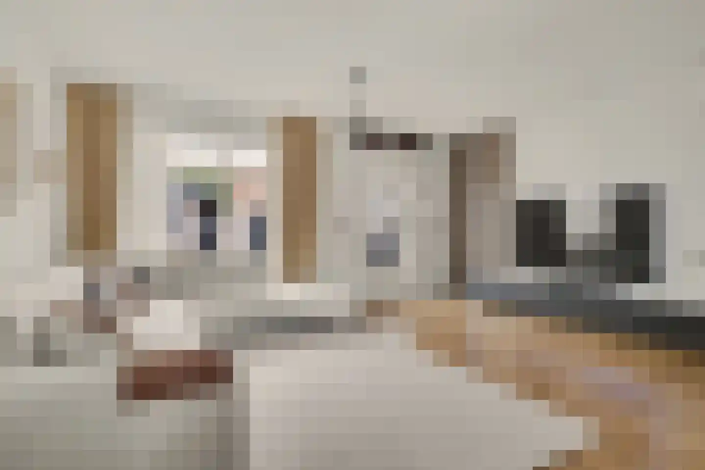 Oude Huys 29 Helmond thumbnail 7