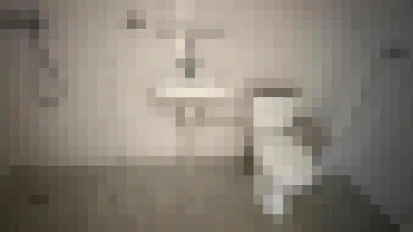 Oude IJsbaan 65 Delft thumbnail 4