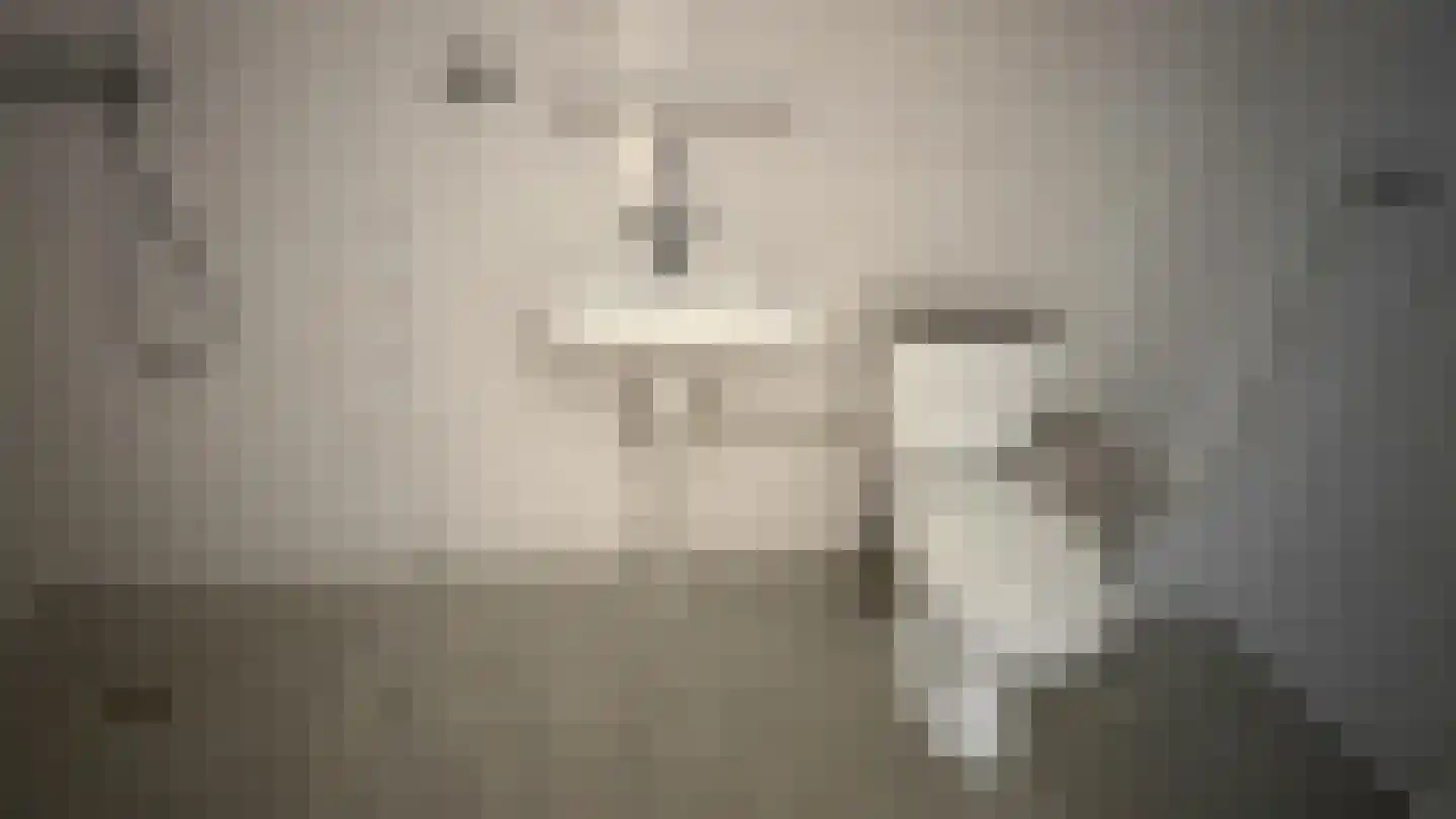 Oude IJsbaan 65 Delft thumbnail 4