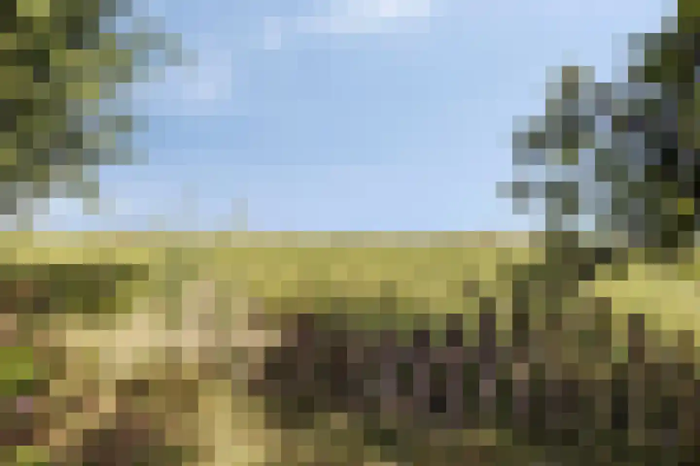 Oude Kaai 15 Graauw thumbnail 43
