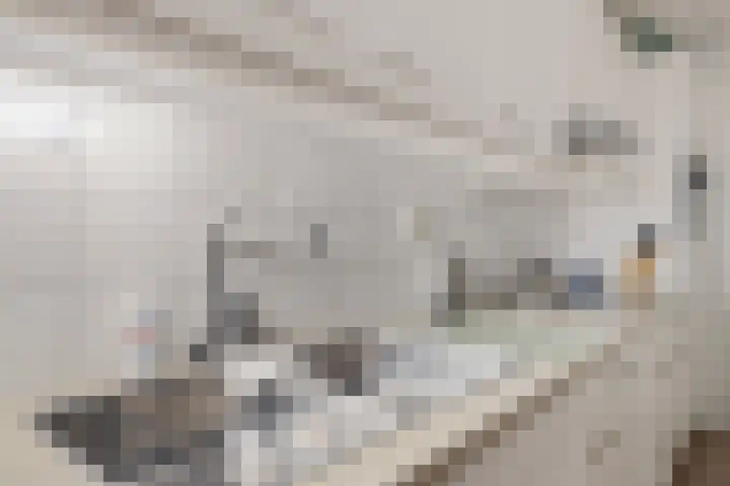 Oude Kampweg 1 F Exloo thumbnail 10