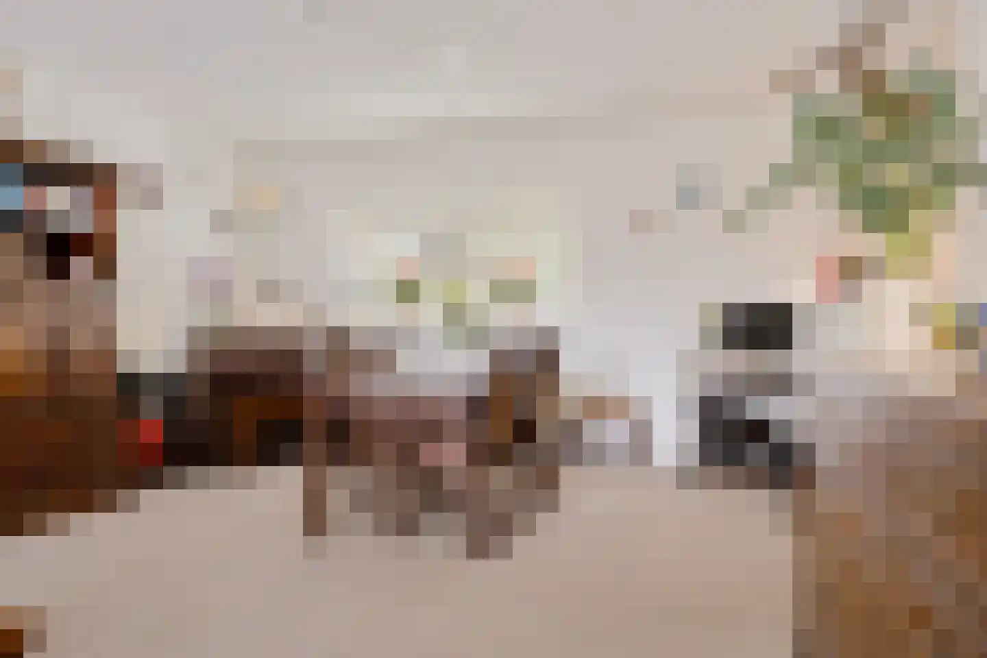 Oude Kampweg 1 F Exloo thumbnail 12