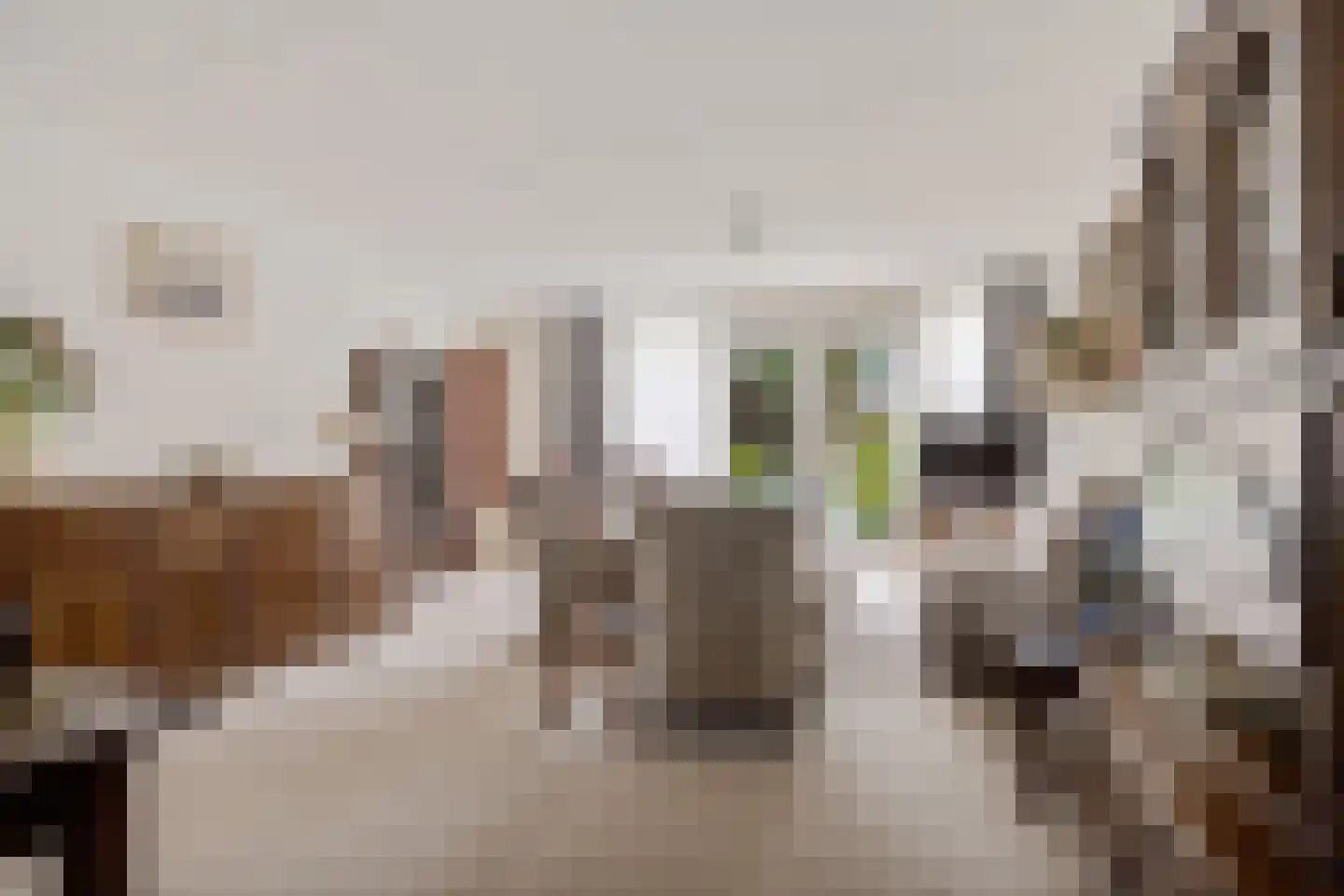 Oude Kampweg 1 F Exloo thumbnail 13