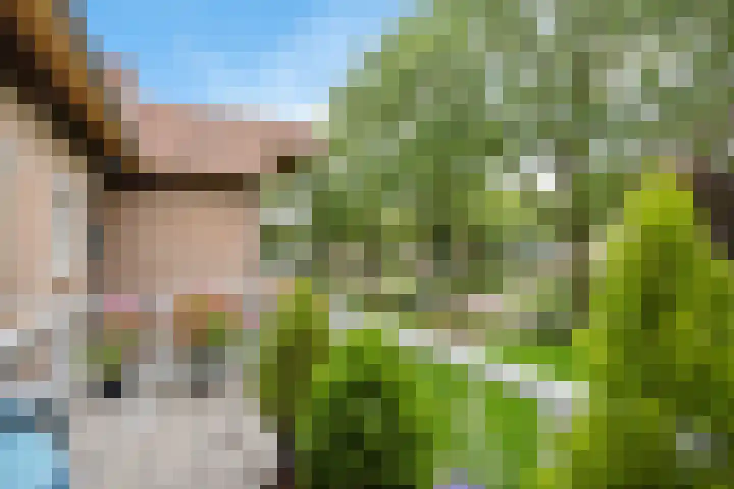 Oude Kampweg 1 F Exloo thumbnail 23