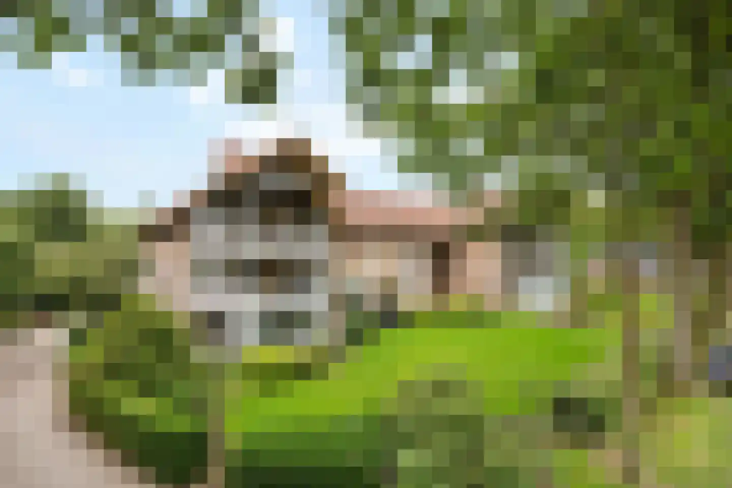 Oude Kampweg 1 F Exloo thumbnail 28