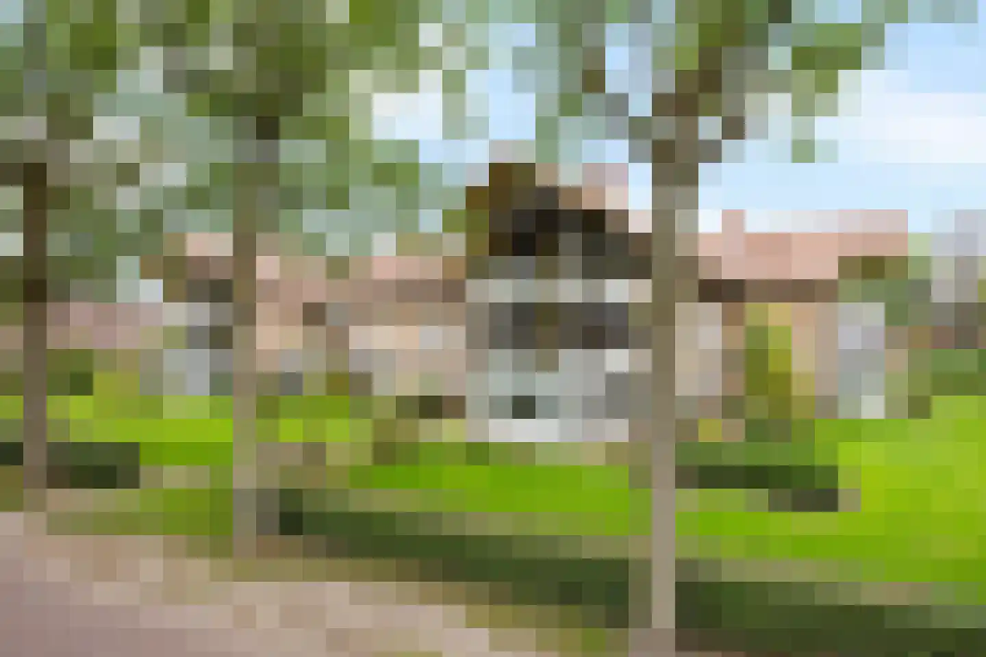 Oude Kampweg 1 F Exloo thumbnail 30