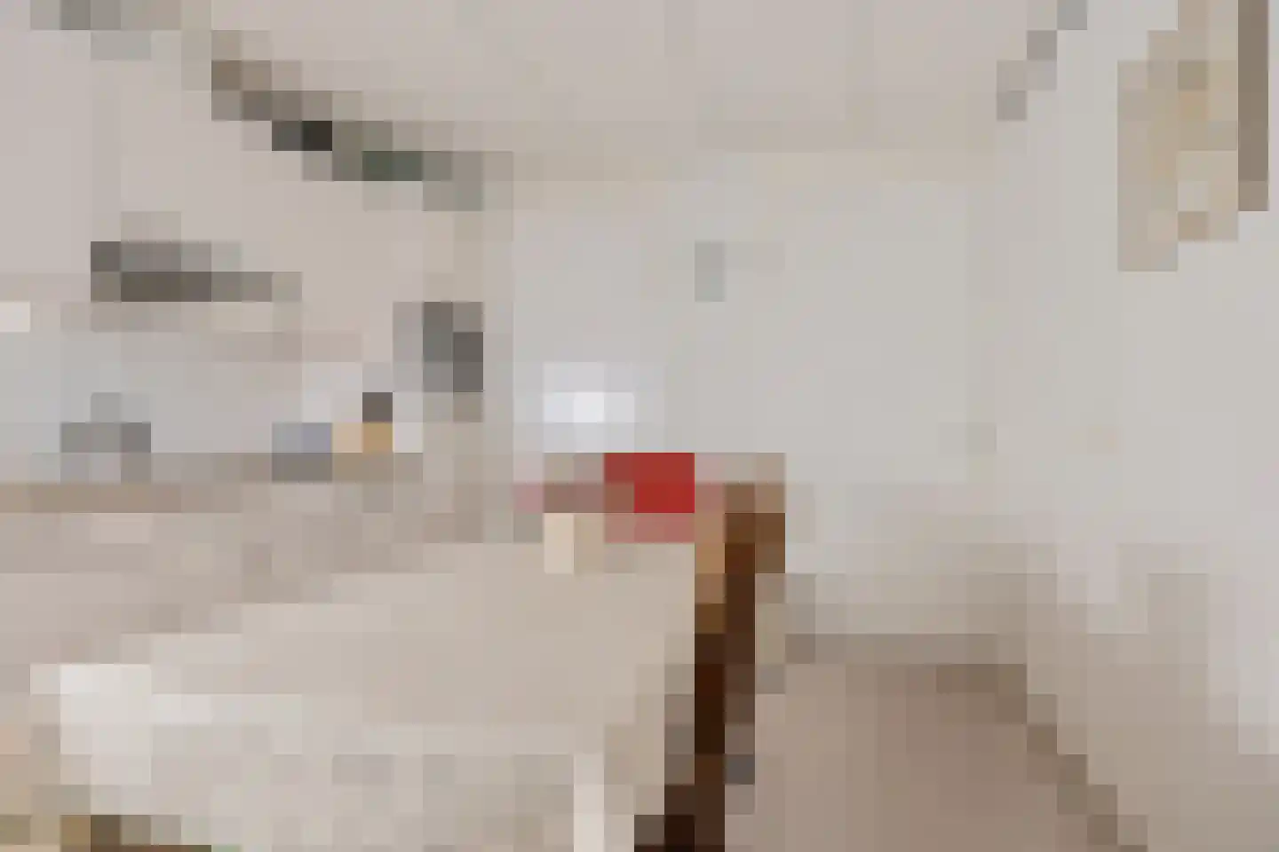 Oude Kampweg 1 F Exloo thumbnail 9