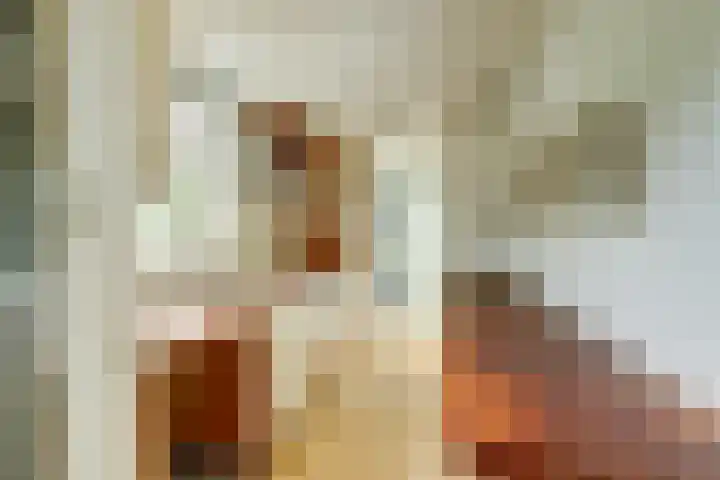 Oude Kanonsdijk 84 Zutphen thumbnail 10