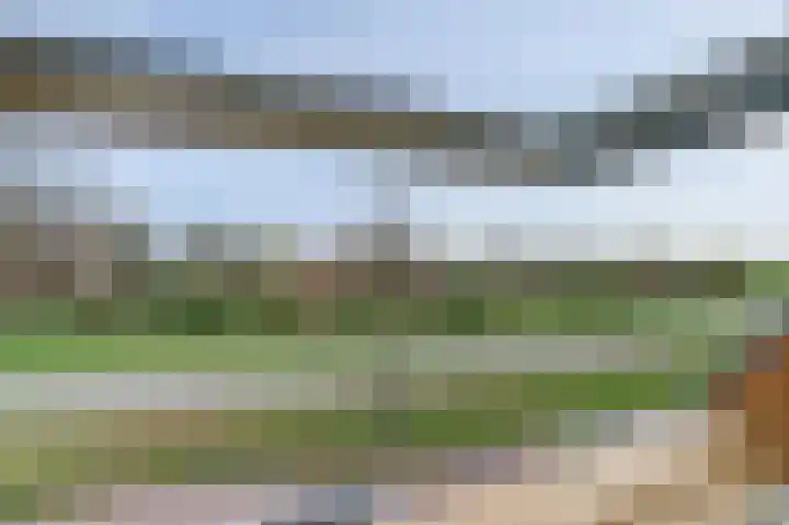 Oude Kanonsdijk 84 Zutphen thumbnail 23