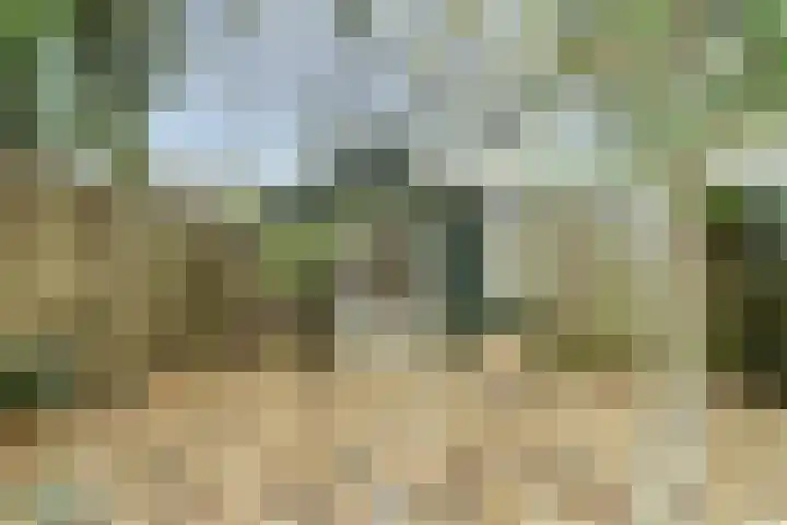 Oude Kanonsdijk 84 Zutphen thumbnail 25