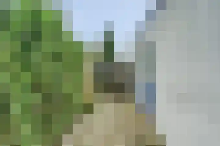 Oude Kanonsdijk 84 Zutphen thumbnail 33