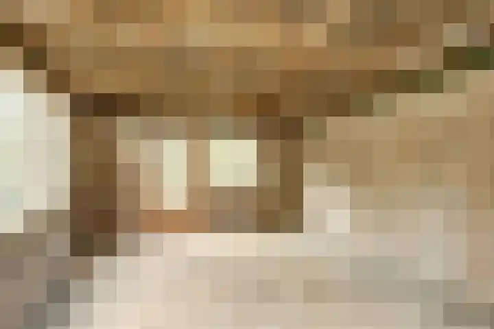 Oude Kanonsdijk 84 Zutphen thumbnail 35